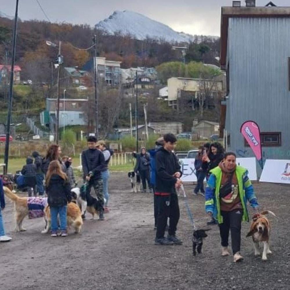 Imagen relacionada