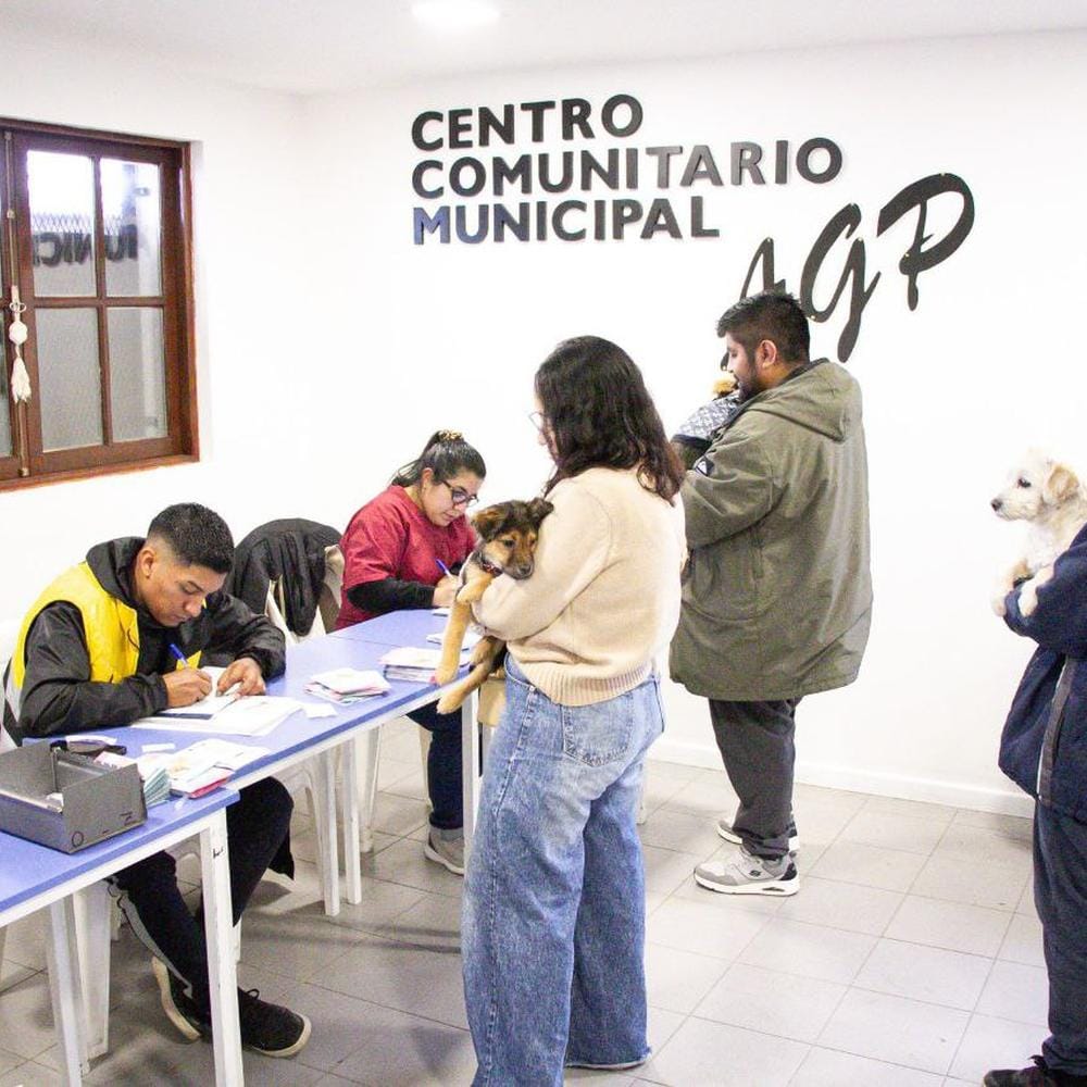 Imagen relacionada