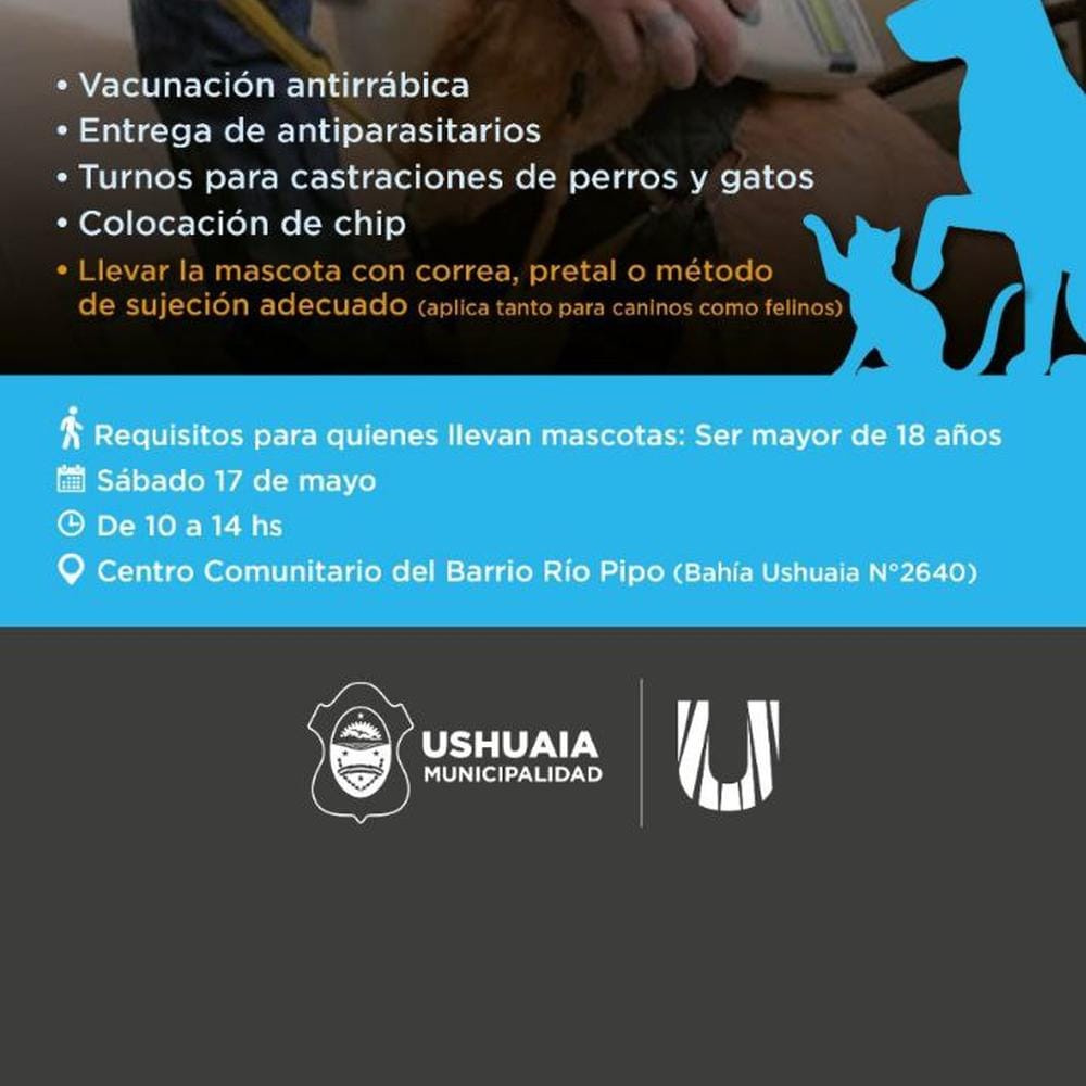 Imagen relacionada
