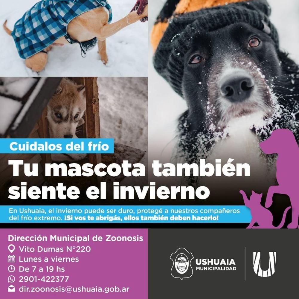 Imagen relacionada
