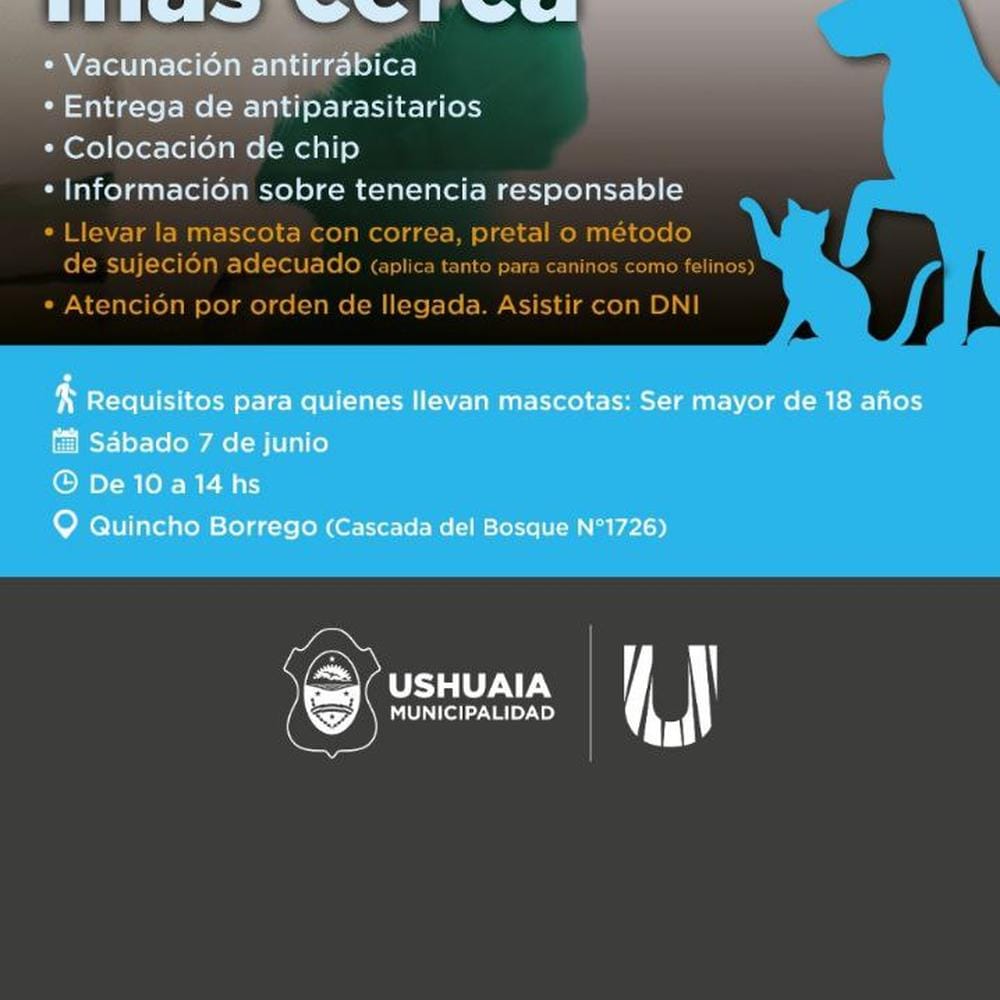 Imagen relacionada