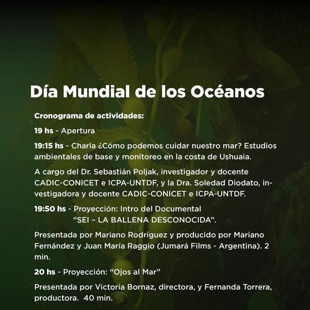 Imagen relacionada