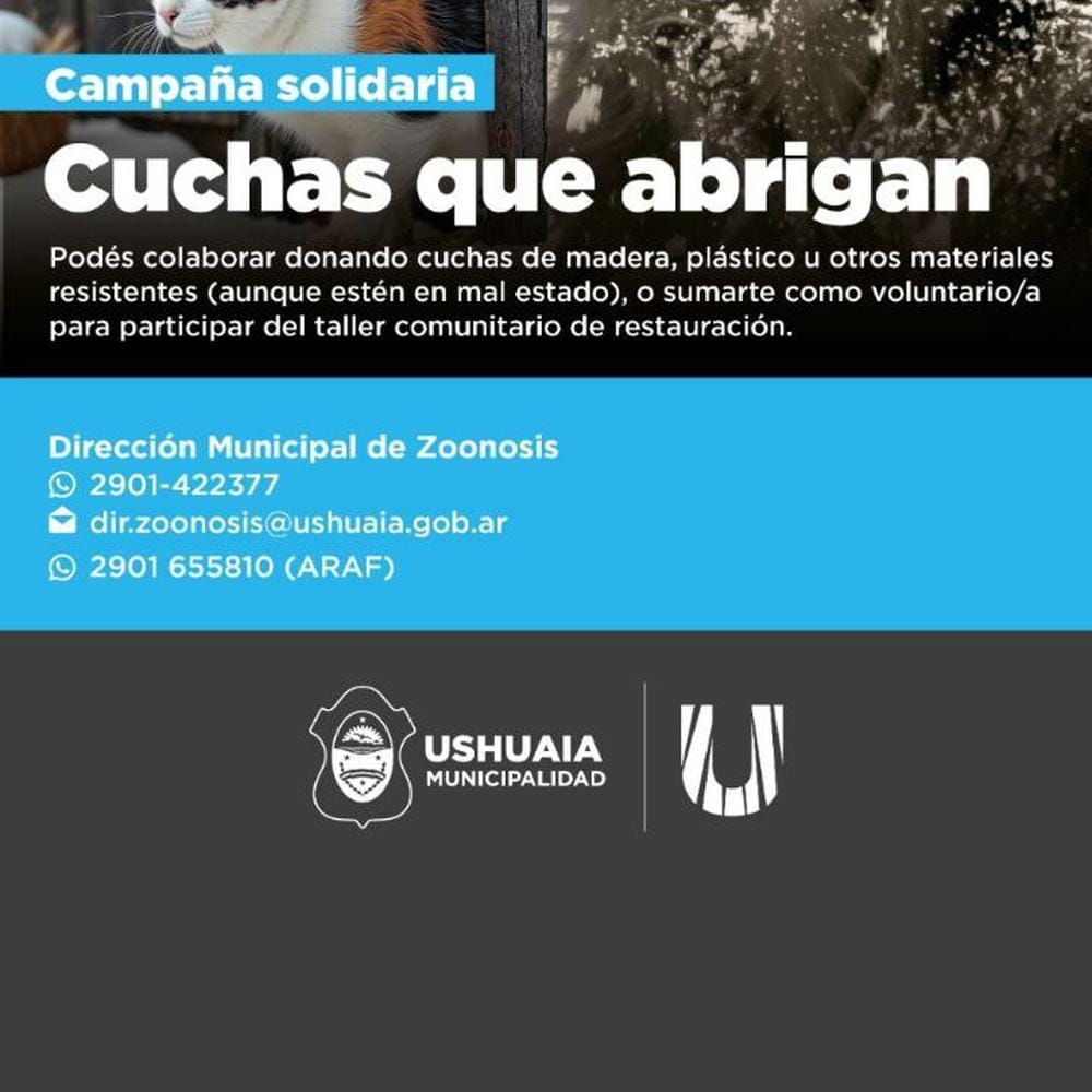 Imagen relacionada
