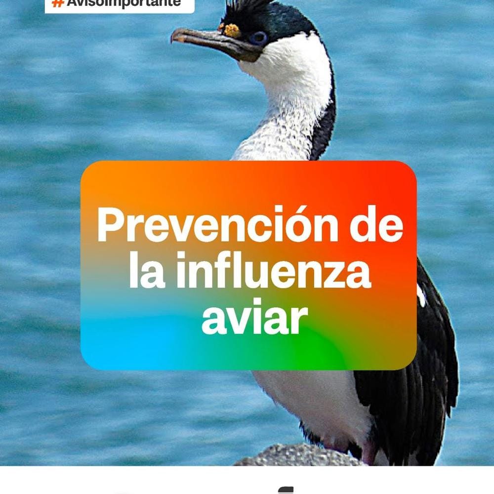 Imagen relacionada