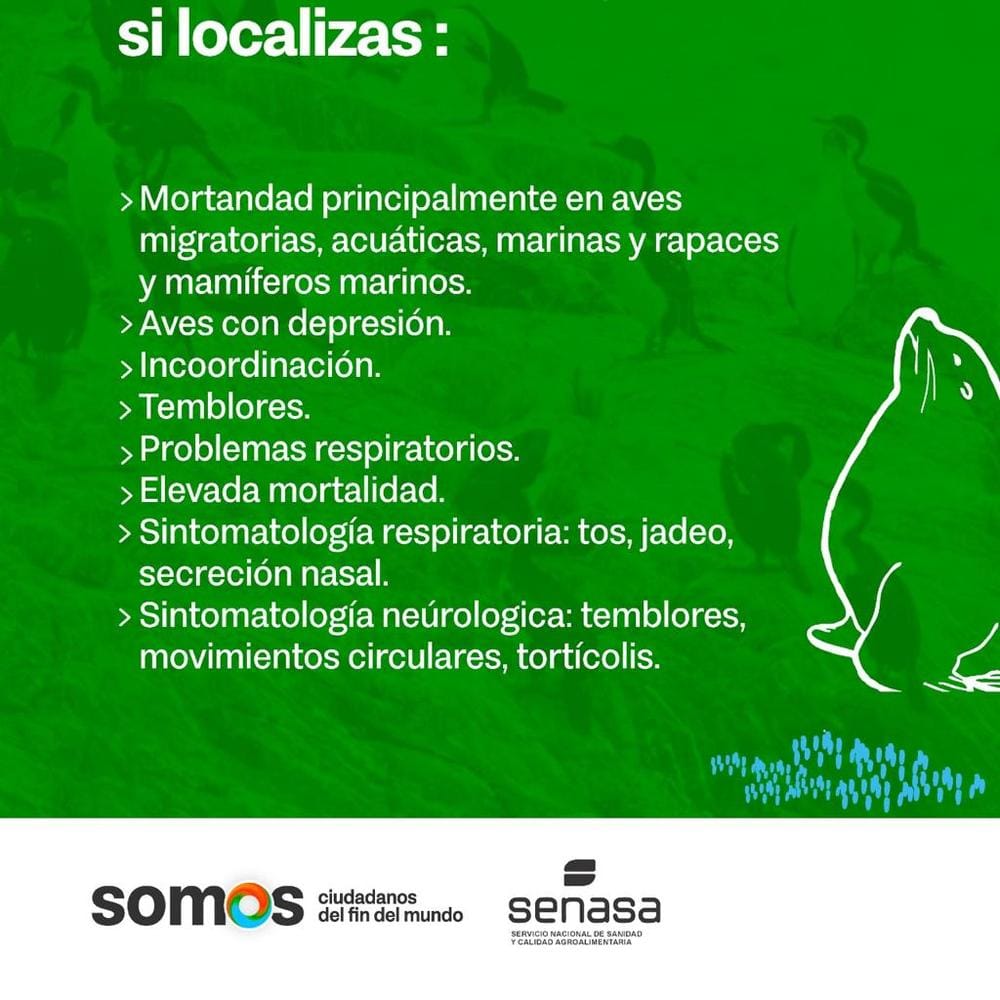 Imagen relacionada