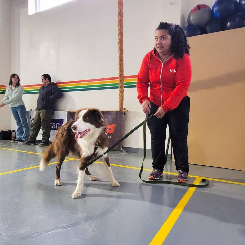 Imagen relacionada