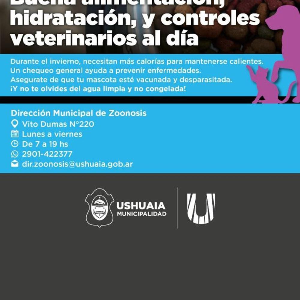Imagen relacionada