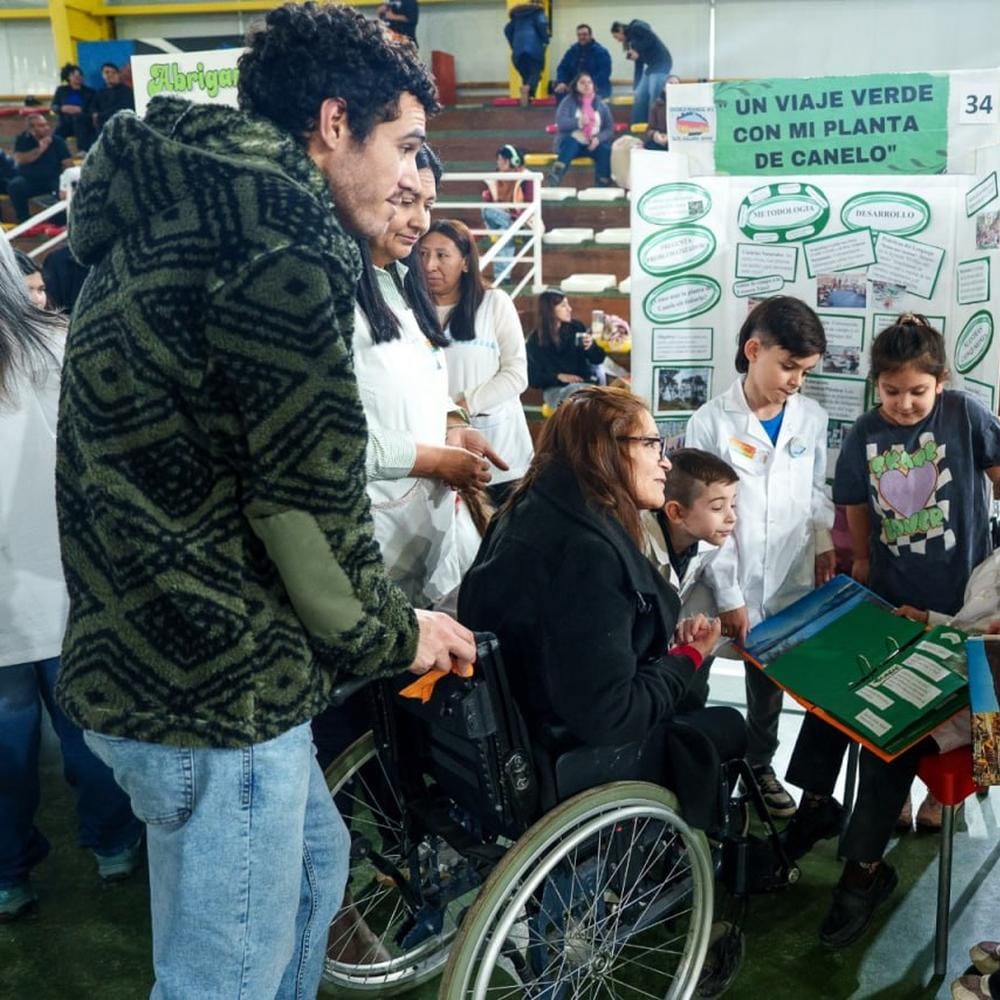 Imagen adicional