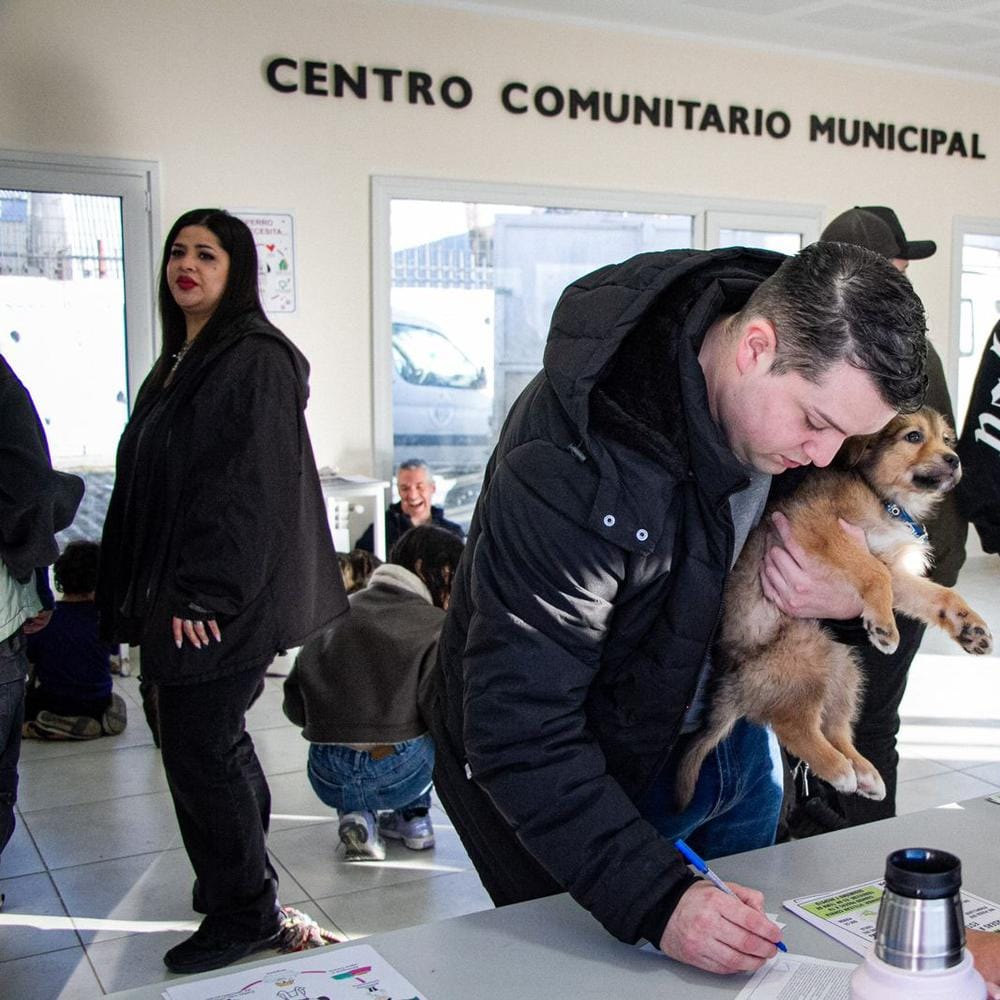 Imagen relacionada