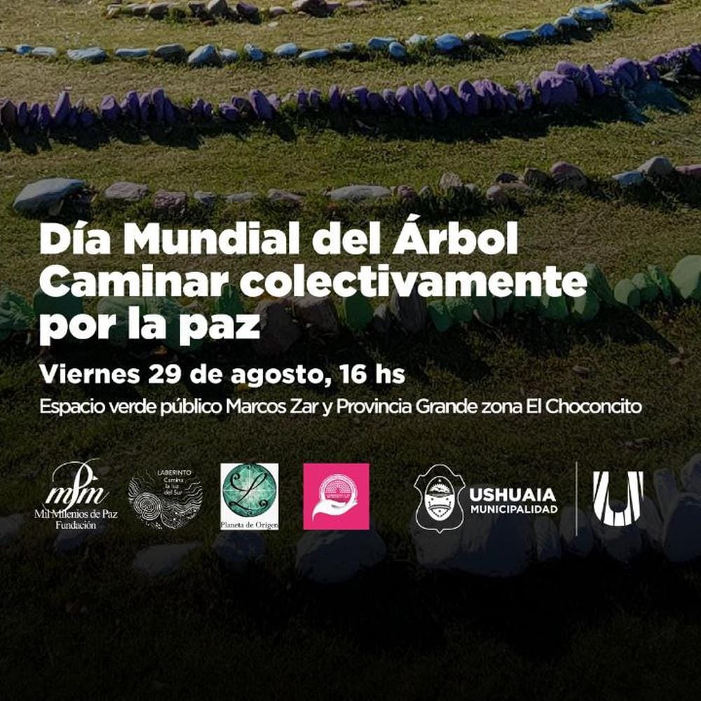 Imagen relacionada
