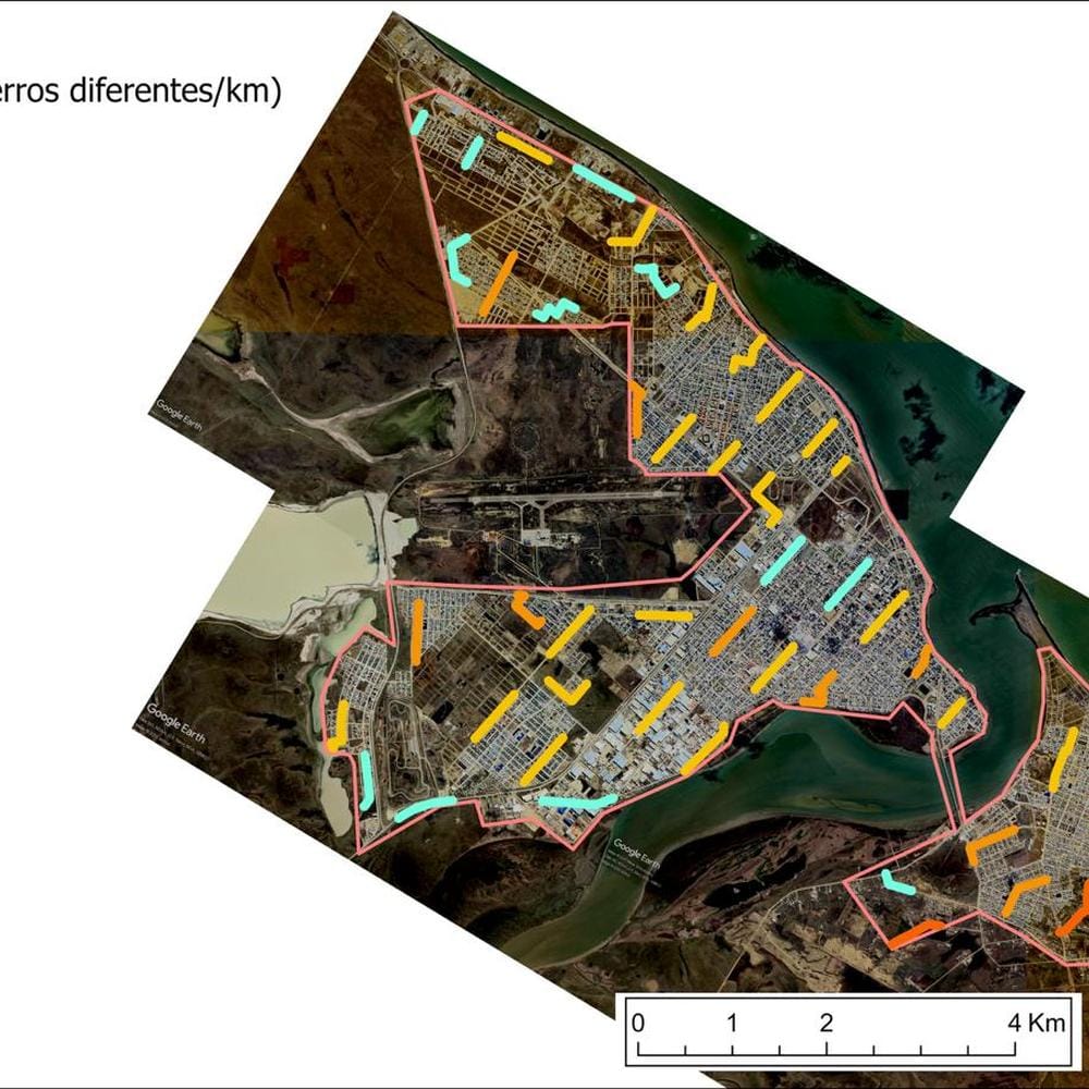 Relevamiento provincial de perros sueltos en Tierra del Fuego mejora la gestión responsable