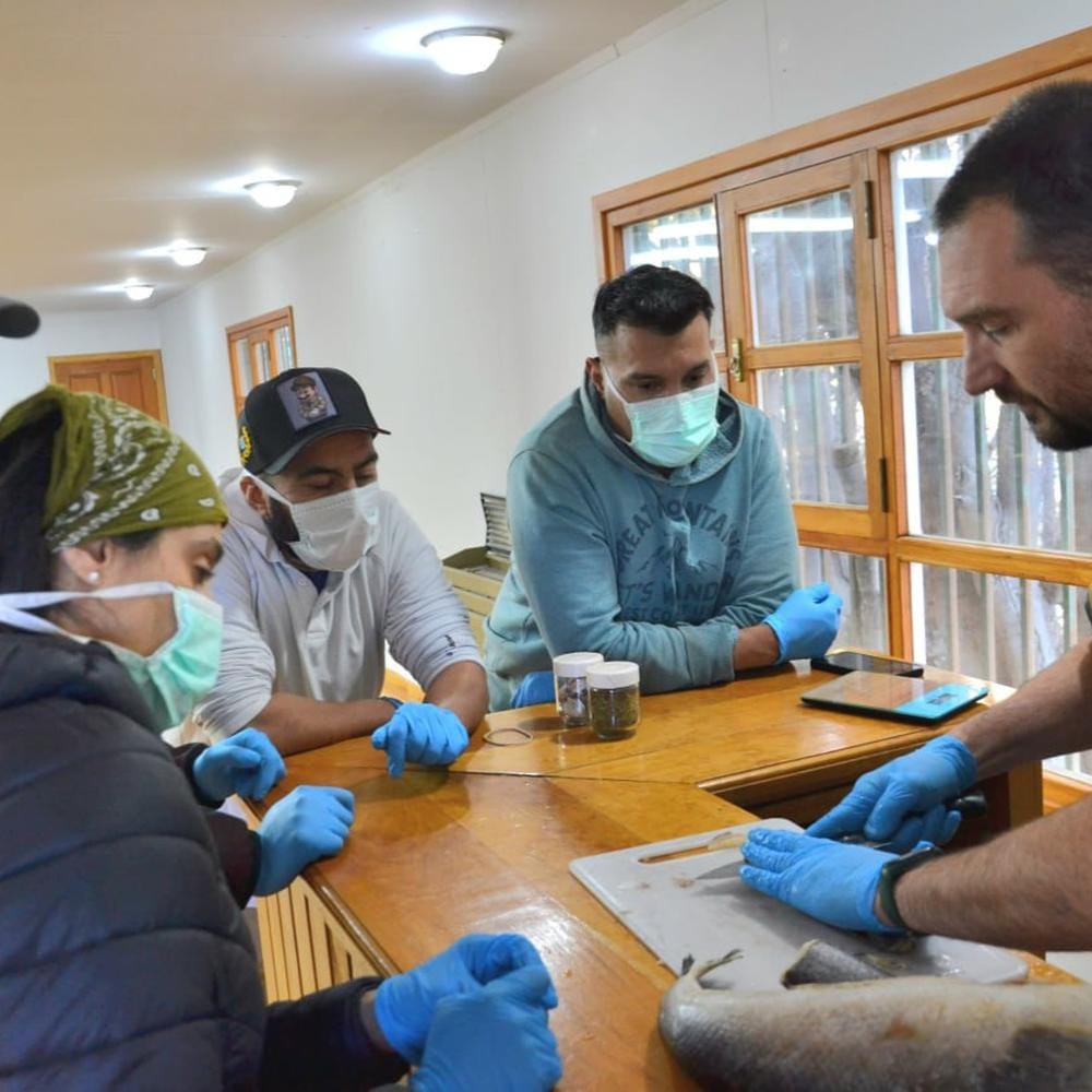 CURSO DE ACTUALIZACIÓN PARA PESCADORES Y ACUICULTORES CULMINA CON ÉXITO