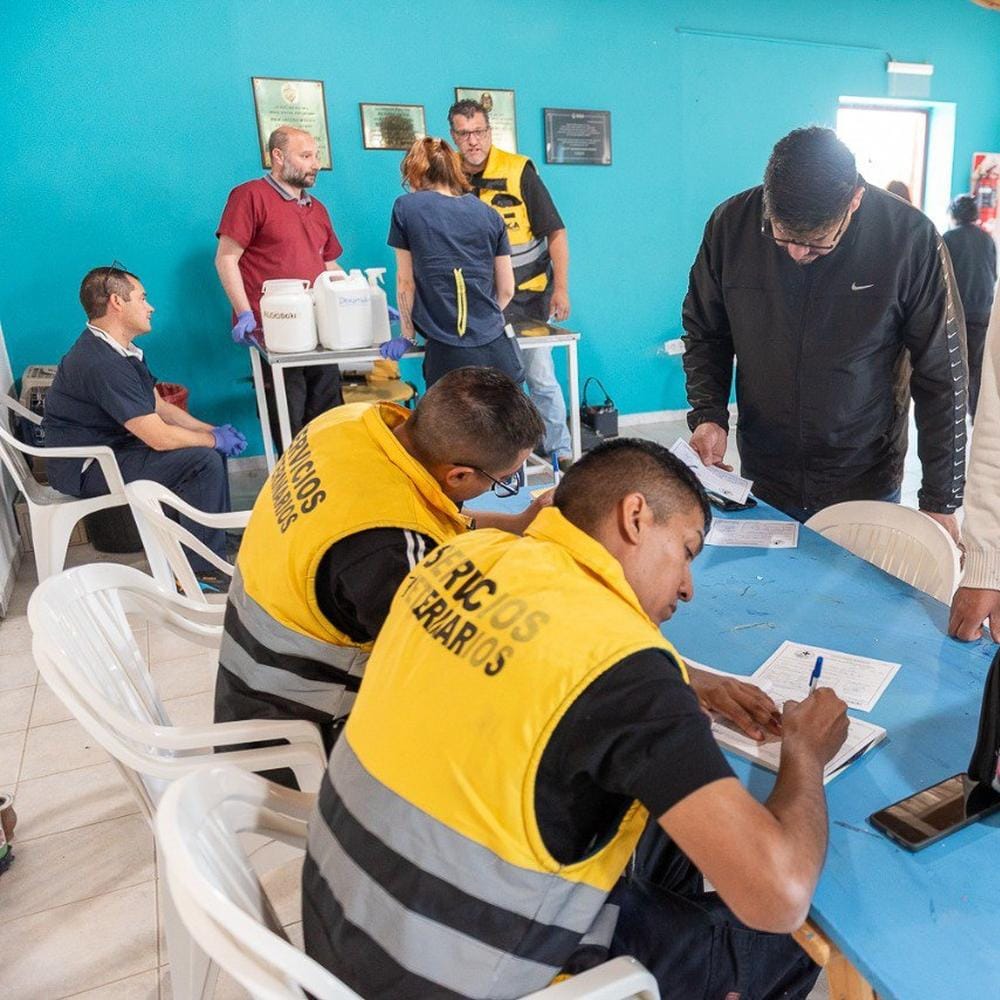 VACUNACIÓN Y CHIPEO DE MASCOTAS EN RGA MASCOTERA
