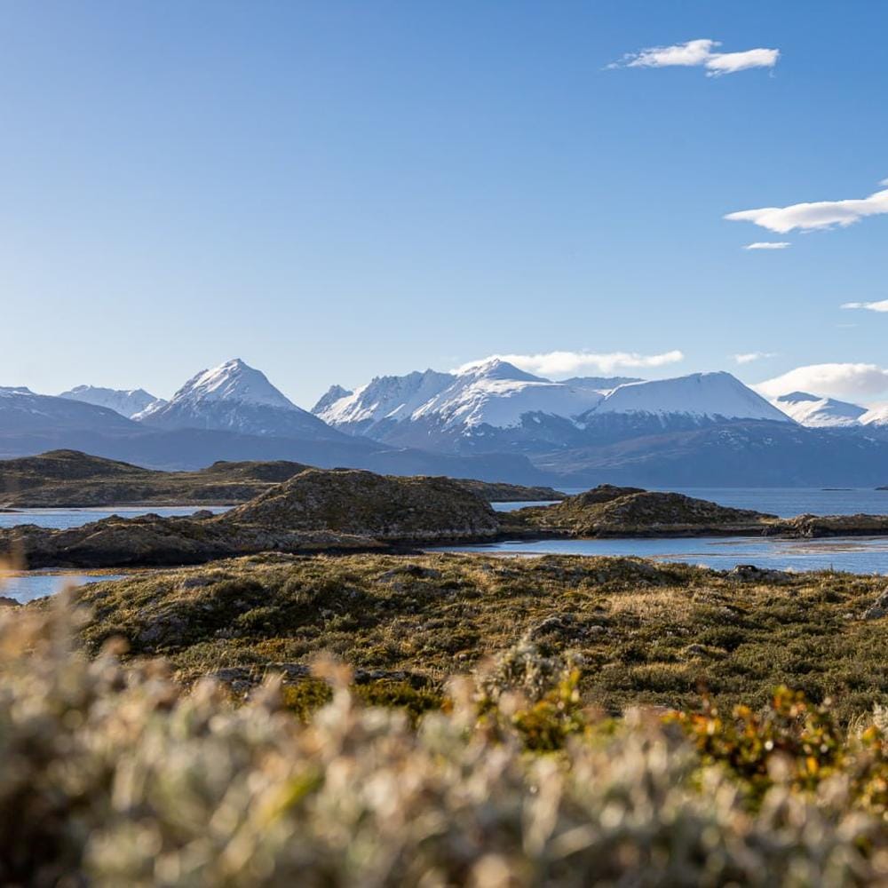 CONFERENCIA SÍSMICA EN TIERRA DEL FUEGO PARA COE