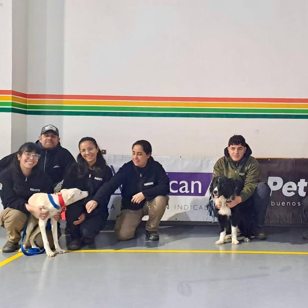 Tolhuin impulsa jornadas de cuidado y educación canina