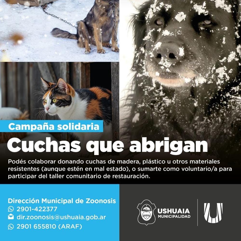 Ushuaia lanza campaña solidaria para refugios de perros