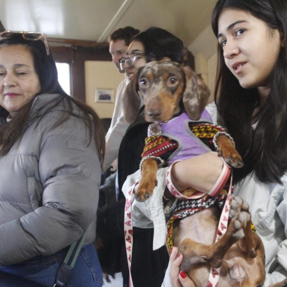 Jornada de Zoonosis en Andorra: atención veterinaria gratuita y prevención sanitaria