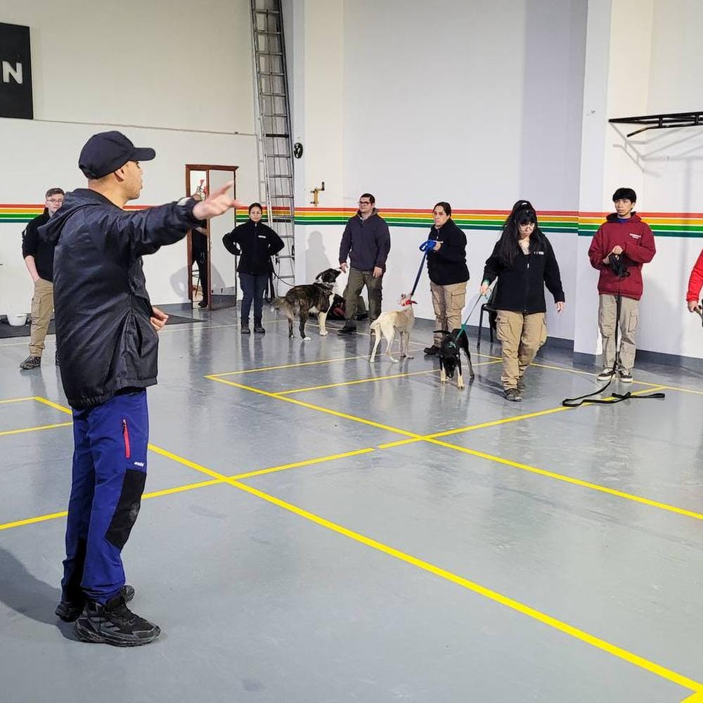 Tolhuin cierra con éxito el Taller de Educación Canina