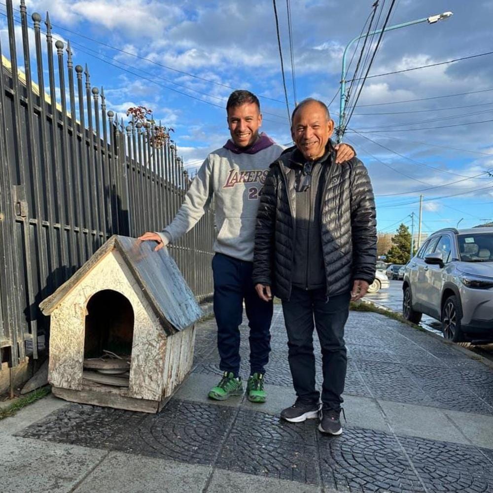 Ushuaia cierra recolección de cuchas para animales