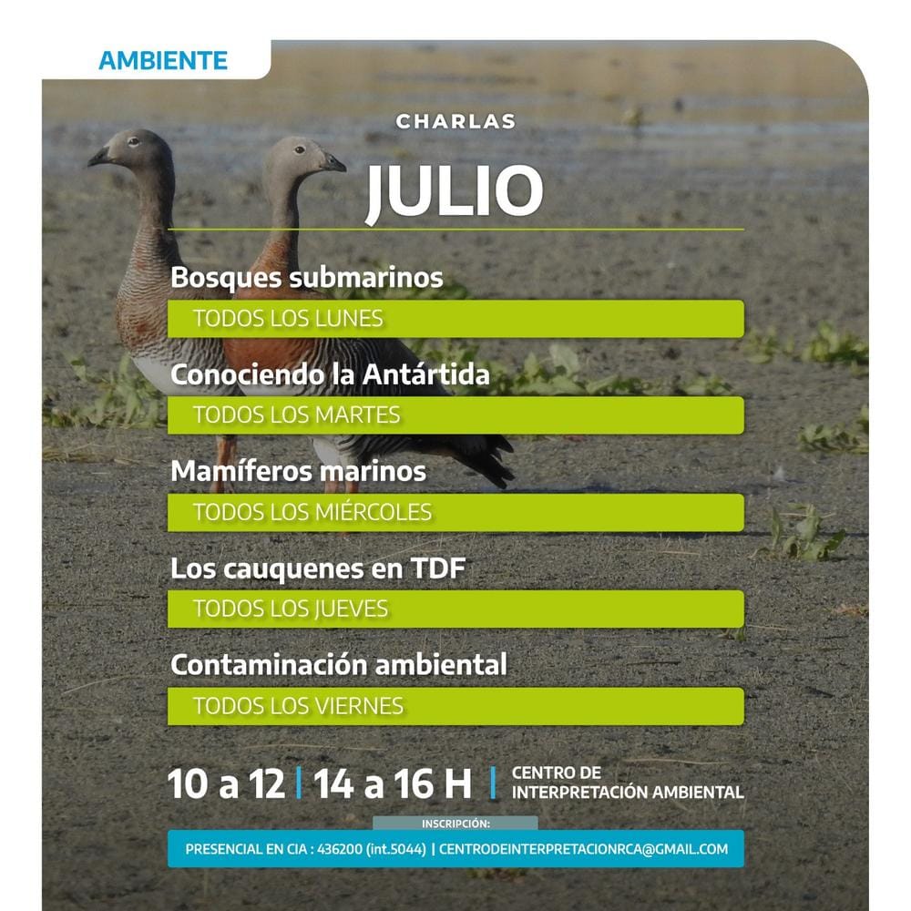 Invierno en Río Grande: Actividades ambientales para todos
