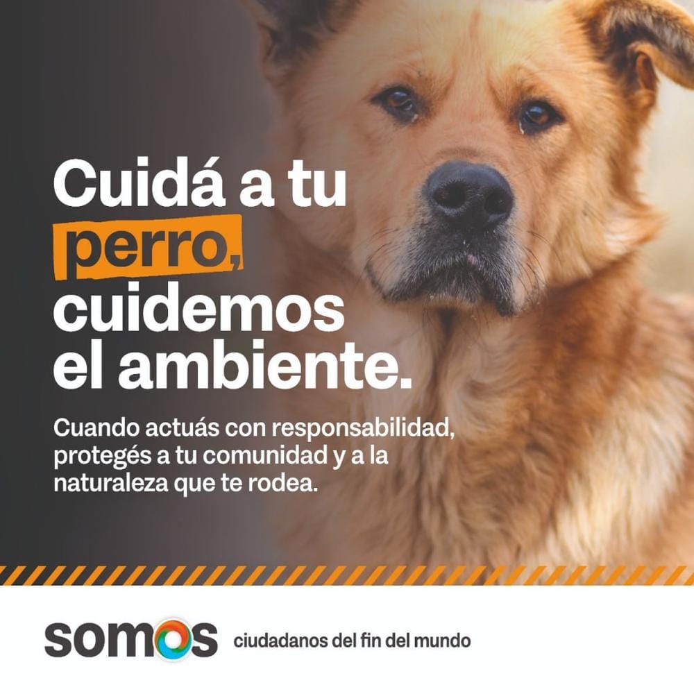 Campaña ambiental para el control responsable de perros
