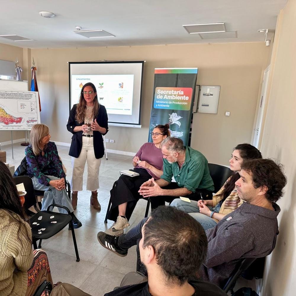 Tierra del Fuego avanza en plan de bosque nativo para financiamiento 2025