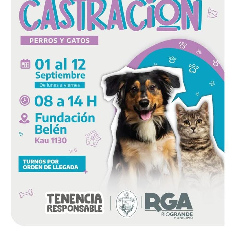 Jornada de Castración Gratuita en Río Grande Sur