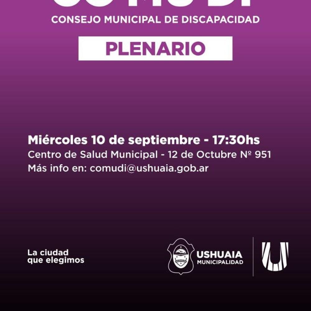 Ushuaia convoca a plenario del Consejo de Discapacidad