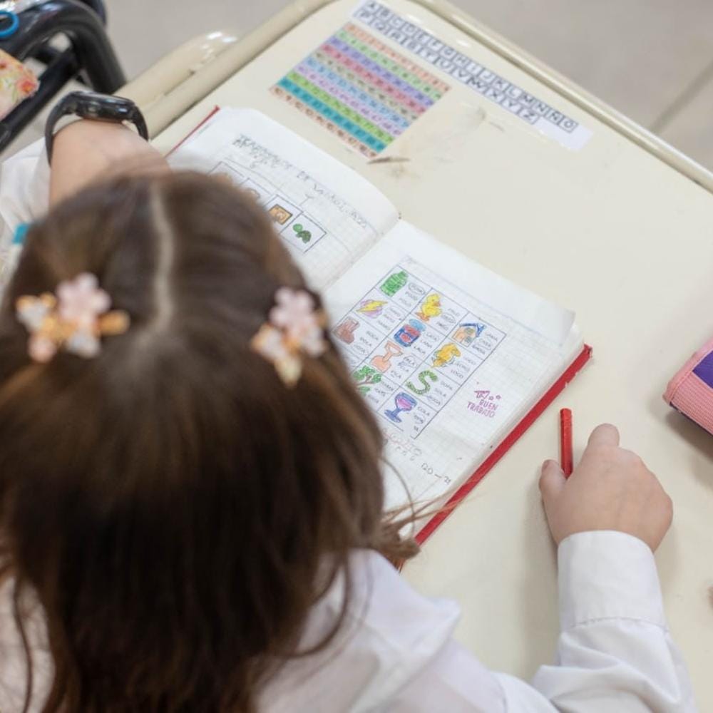 Inscripciones abiertas para el ciclo escolar 2026 en Tierra del Fuego