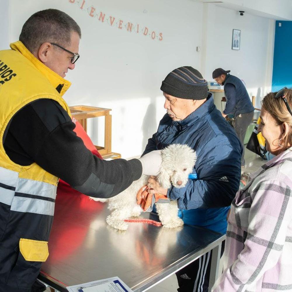 Río Grande lanza jornada gratuita de vacunación antirrábica