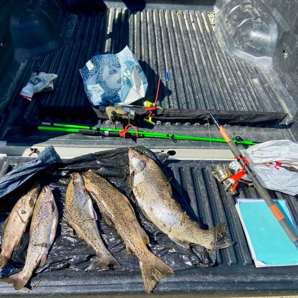 Pesca ilegal en el río Milna: control y protección anticipada