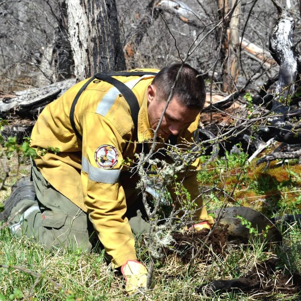 Avance en restauración de la Reserva Corazón de la Isla