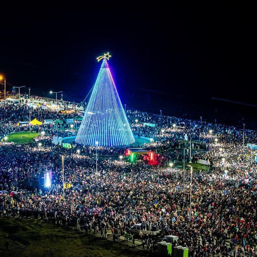Río Grande enciende su árbol más grande en fiesta navideña