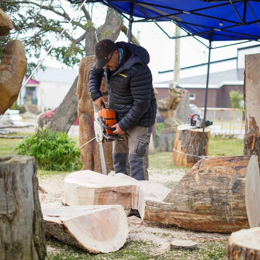 Escultores en Tolhuin celebran la Lenga Fueguina