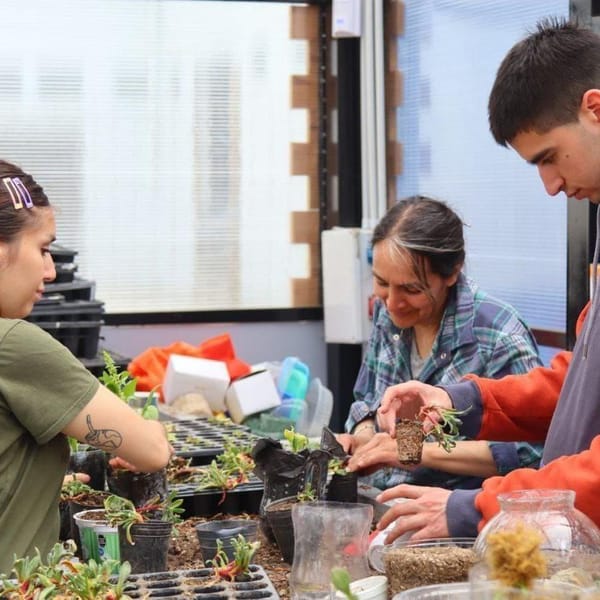 SIGUEN LAS INSCRIPCIONES PARA LOS TALLERES DE CASA DE JÓVENES