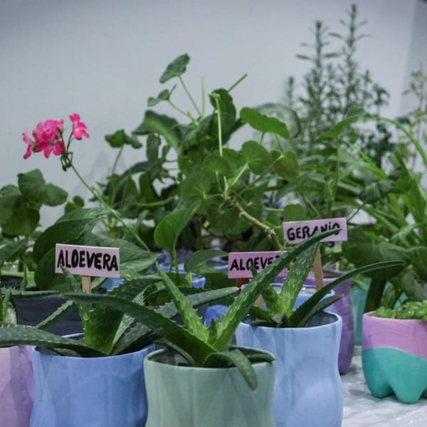 EXPO MUJER 2023 EN USHUAIA: UN ESPACIO PARA EL EMPRENDIMIENTO Y LA DIVERSIDAD
