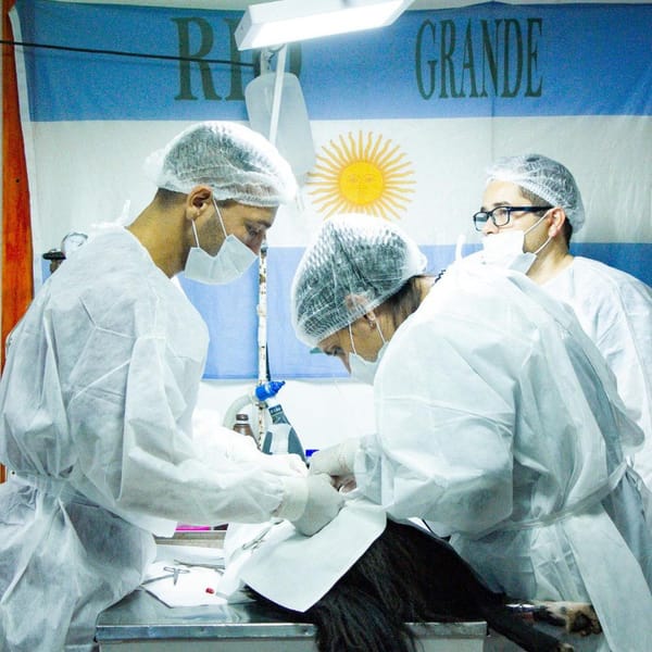 CASTRACIONES GRATUITAS EN ZONA SUR: UN ÉXITO PARA LA SALUD ANIMAL