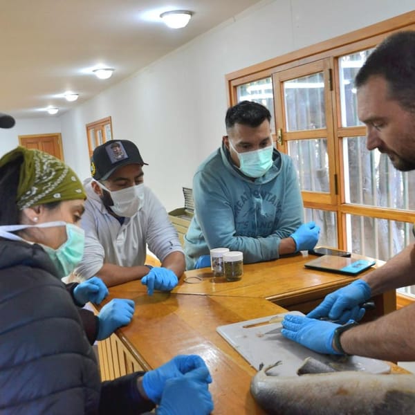CURSO DE ACTUALIZACIÓN PARA PESCADORES Y ACUICULTORES CULMINA CON ÉXITO