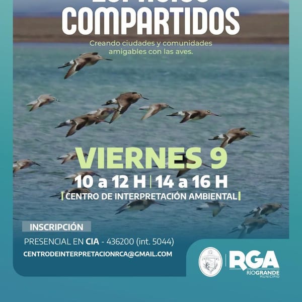 ESPACIOS COMPARTIDOS: CELEBRANDO EL DÍA MUNDIAL DE LAS AVES MIGRATORIAS