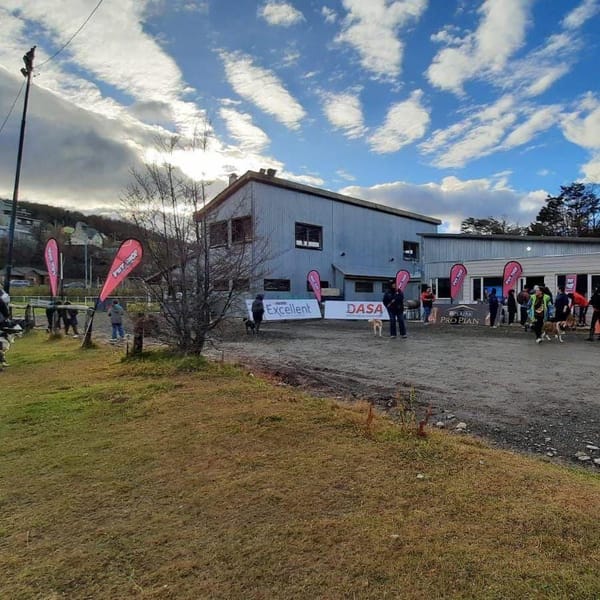 JORNADA DE CONCIENTIZACIÓN EN EL DÍA DEL ANIMAL EN USHUAIA