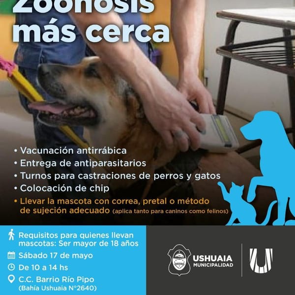 ZOONOSOS MÁS CERCA: JORNADA GRATUITA EN RÍO PIPO