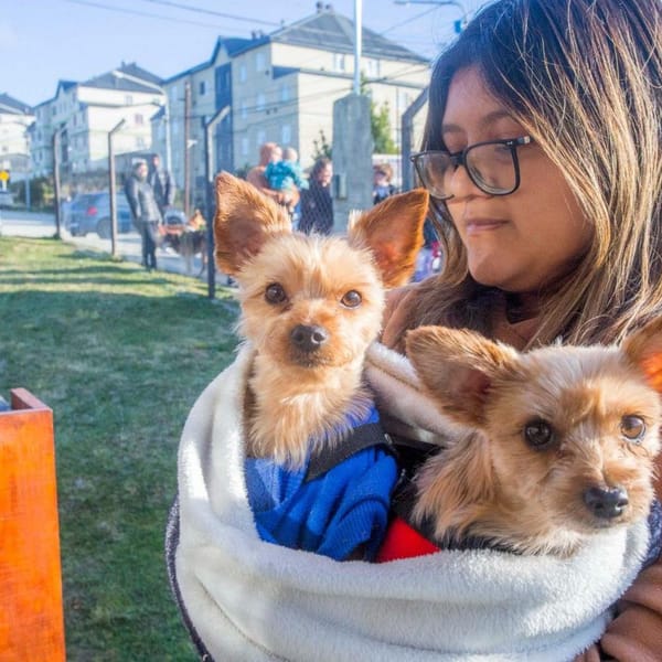 EXITOSA JORNADA DE ZOONOSIS EN BARRIO RÍO PIPO