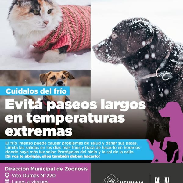 CUIDADOS ESENCIALES PARA MASCOTAS EN INVIERNO EN USHUAIA