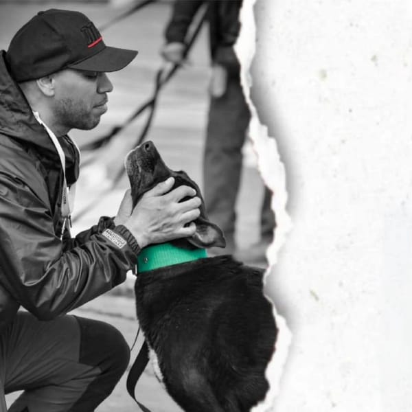 EDUCACIÓN CANINA EN TOLHUIN: JORNADAS GRATUITAS