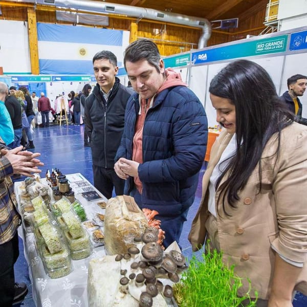 Río Grande impulsa las pymes en la Expo Emprender Sur