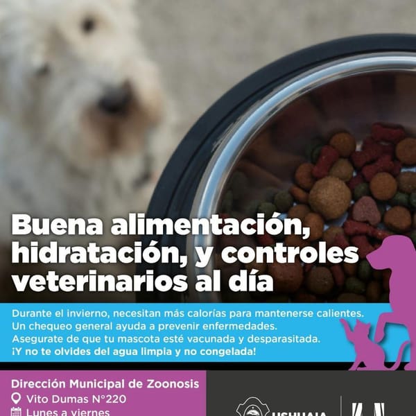 Cuidados esenciales para mascotas en invierno Ushuaia