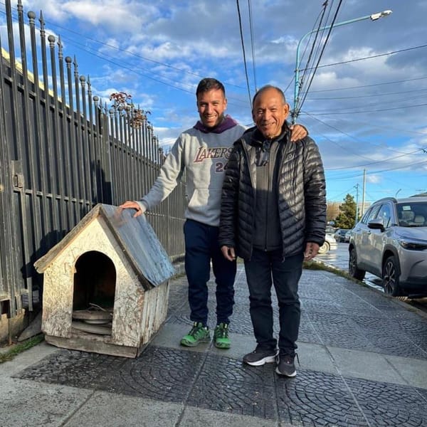 Ushuaia cierra recolección de cuchas para animales