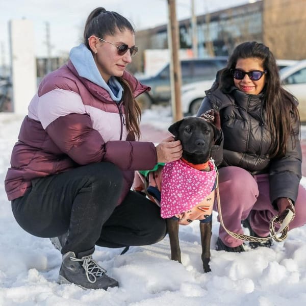 MÁS DE 100 PERSONAS PARTICIPARON DE LA JORNADA DE SALUD ANIMAL EN EL PASEO DE LAS ROSAS