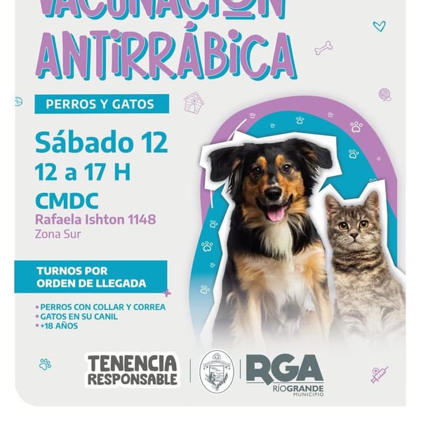 Río Grande: Nueva Jornada de Vacunación Antirrábica para Mascotas