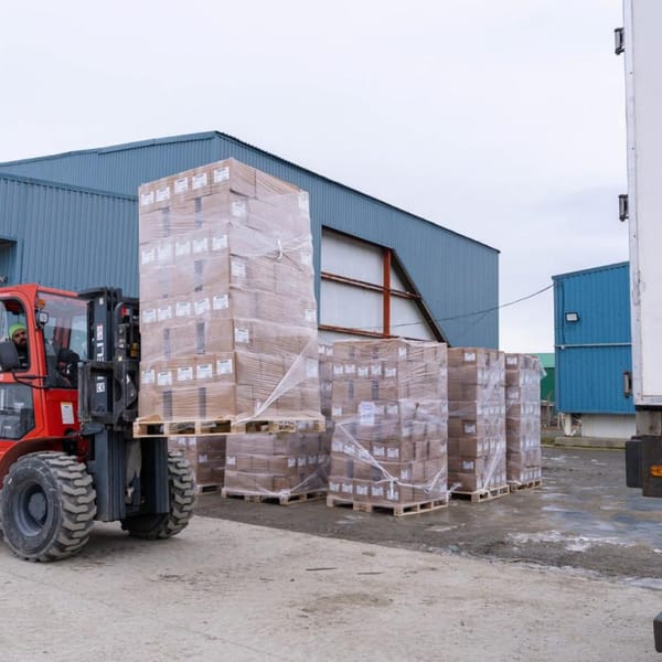 Mejillones de cultivo en Tierra del Fuego impulsan su crecimiento